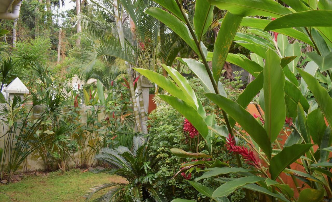 Sunbird Bungalow Anse Boileau Ngoại thất bức ảnh