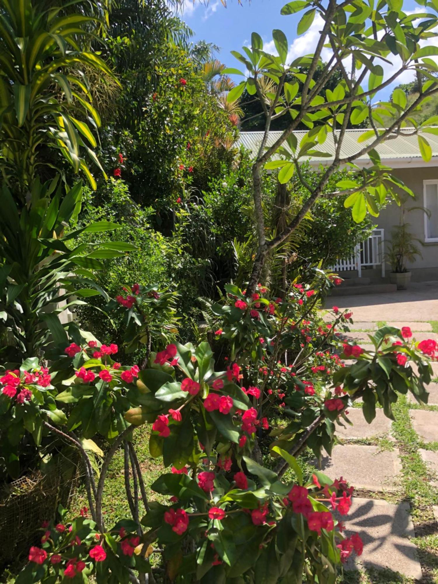 Sunbird Bungalow Anse Boileau Ngoại thất bức ảnh